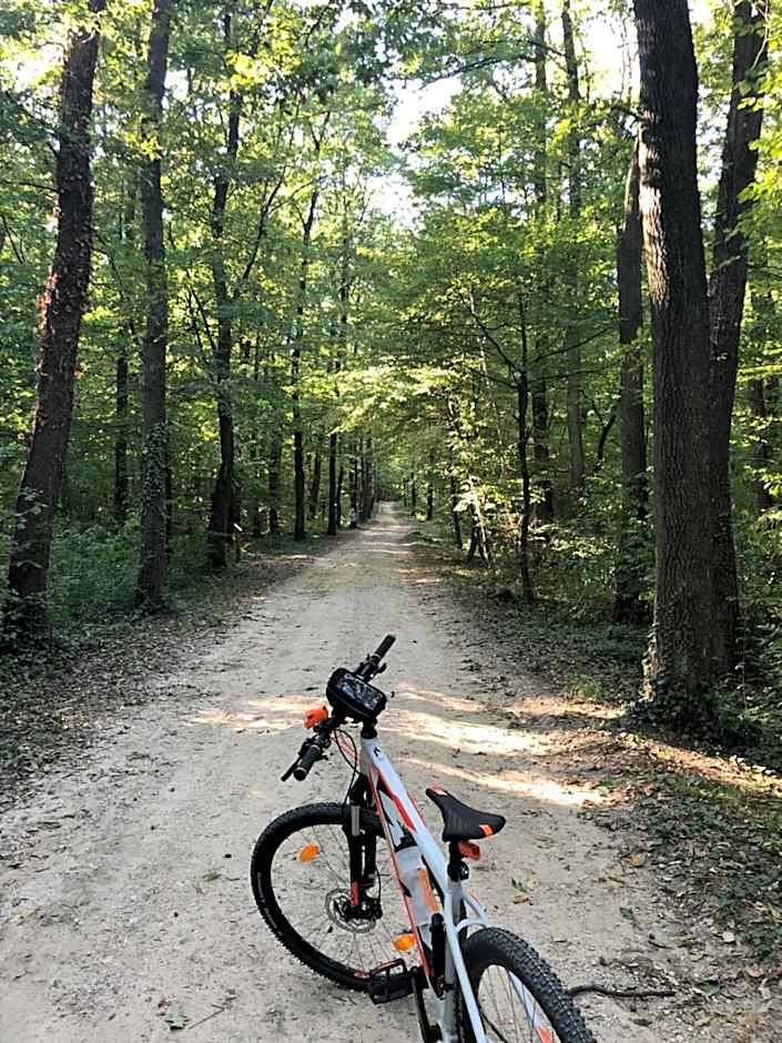 Orchidea Wellness Apartman