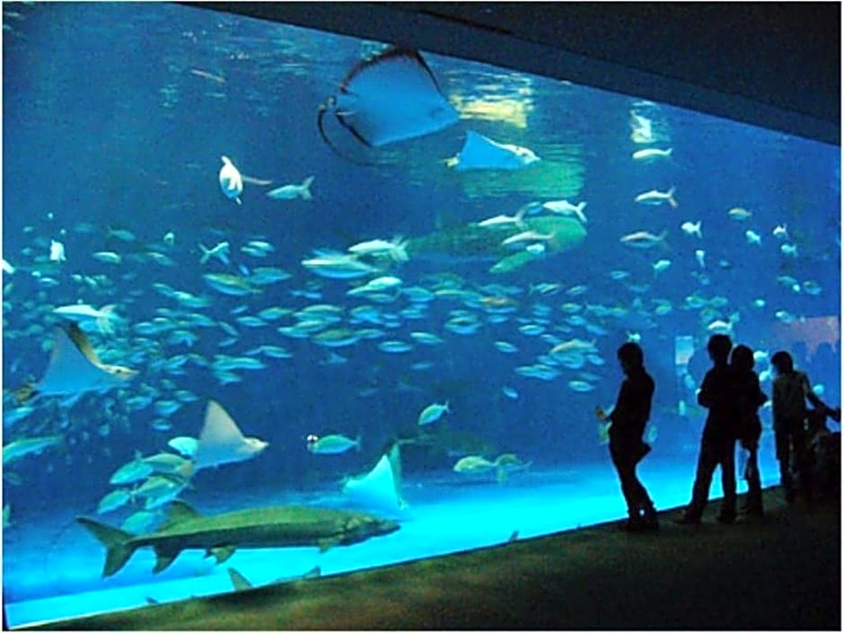 Richmond Hotel Kagoshima Kinseicho