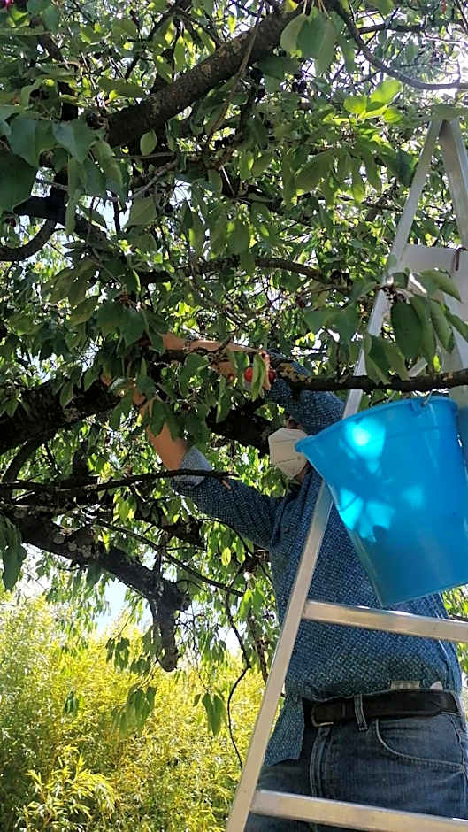 Agriturismo Macchiapiede