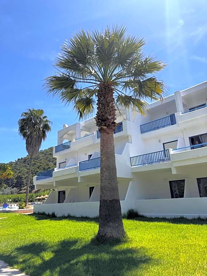 Vassilis Studios