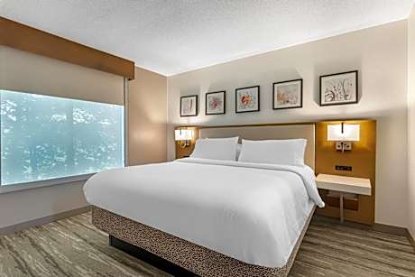 King Room with Accessible Tub - Mobility Access
