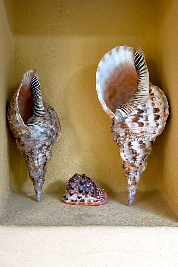 Sawa Sawa Beach House