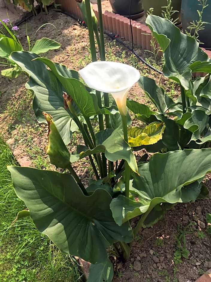 Aux portes de Pornichet, Chambres d'hôtes Ty'Sacha