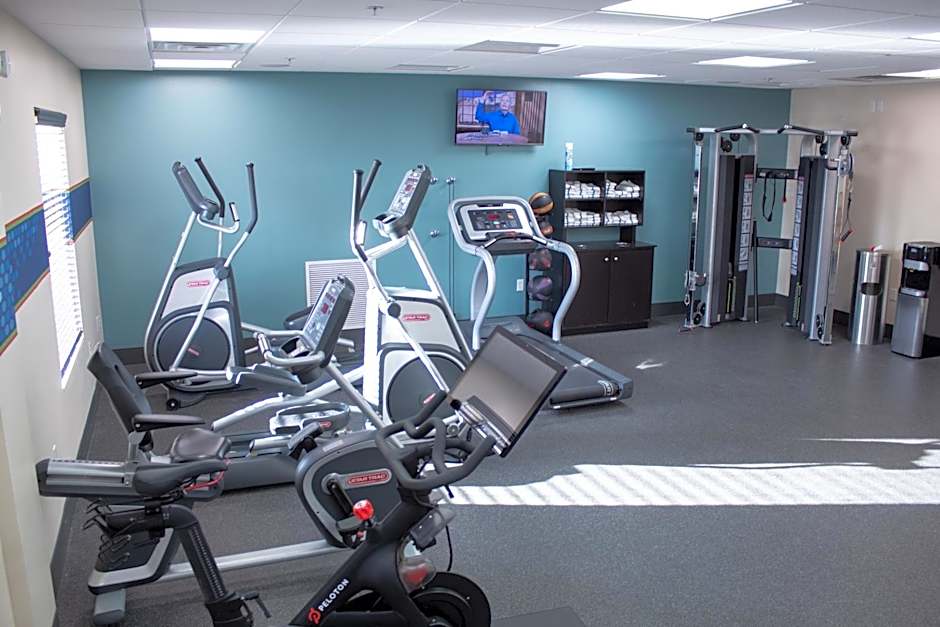 Hampton Inn By Hilton & Suites Big Rapids, Mi