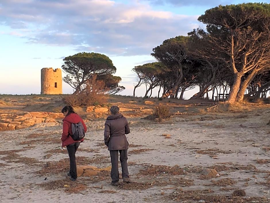 Camera vista mare, ingresso indipendente in" Villa VìVì"