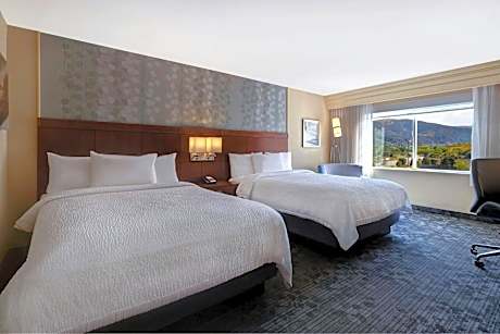 Queen Suite - Mountain View