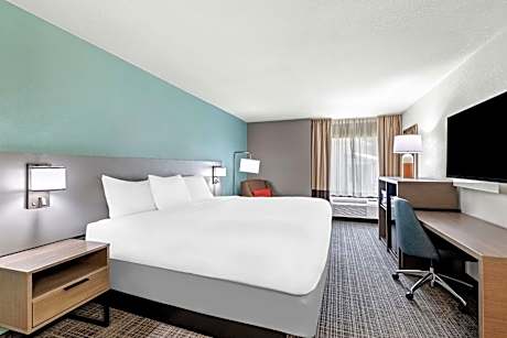 King Room - Non-Smoking