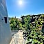 Villa Mouloud, Authentic Amazigh Family Villa, Fireplace & Garden