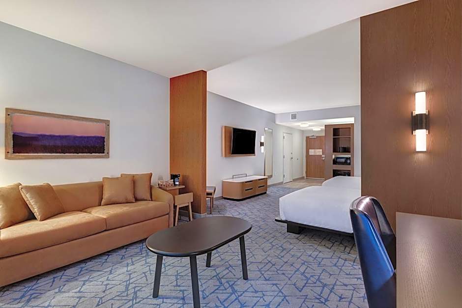 Fairfield Inn & Suites by Marriott Minneapolis Downtown