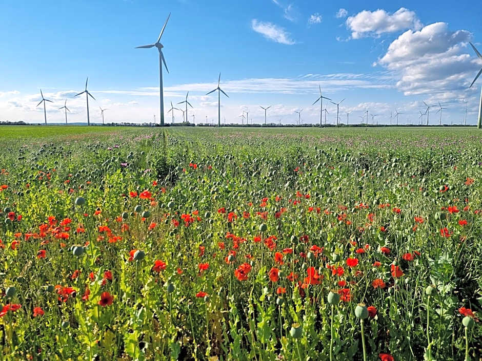 BIRKENHOF GOLS - B & B - Wohlfühl Hotel mit Wochenend-Restaurant
