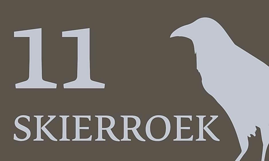 Tiny House De Skierroek