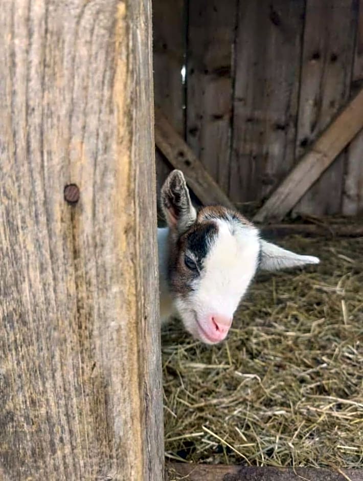Ötscherblick Fam Winter