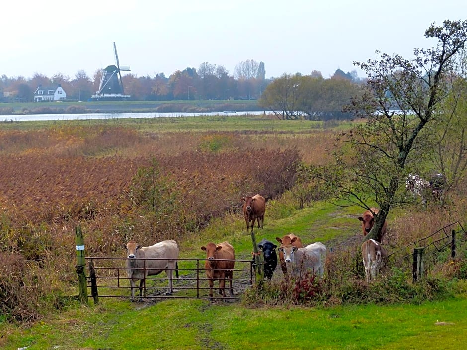 't Geheim van de Molenaer