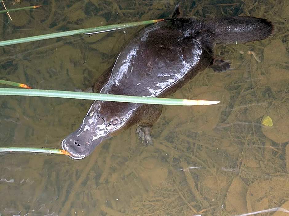 Silver Ridge Retreat