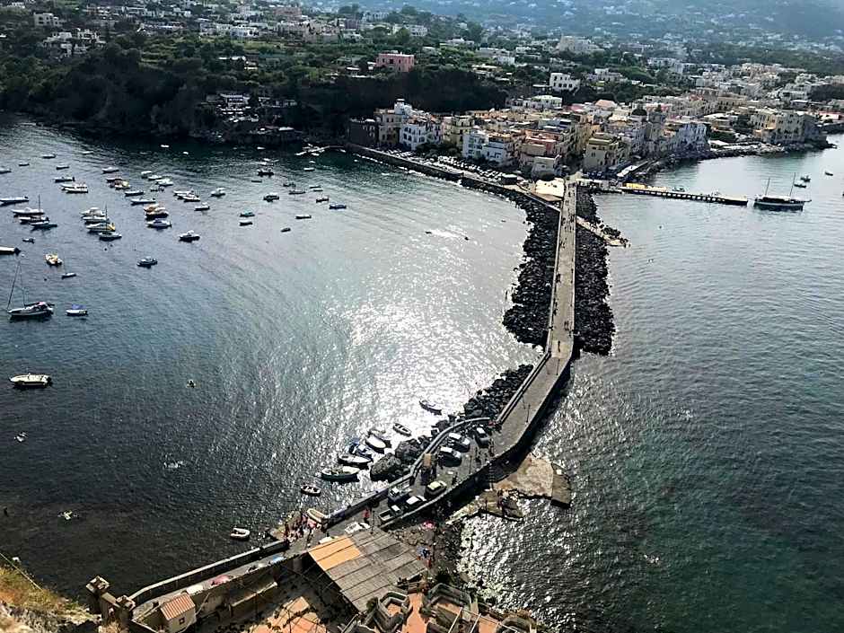 International Naples