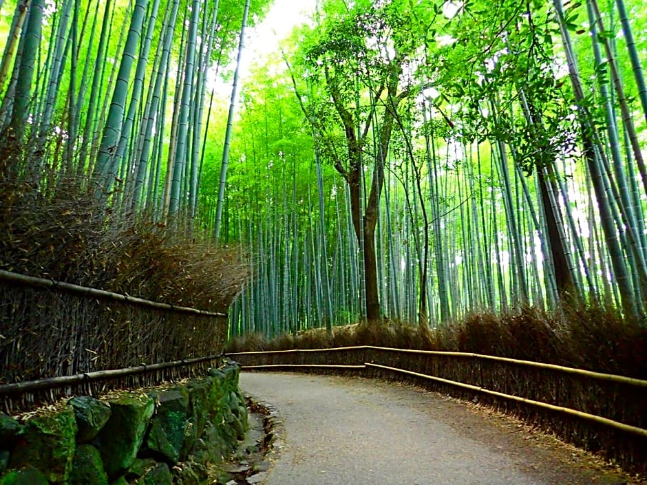 Sotetsu Fresa Inn Kyoto-Shijokarasuma