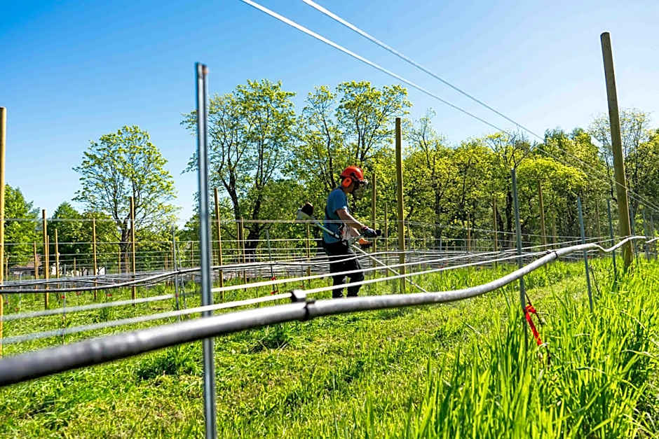 Thorbjørnrud Hotell