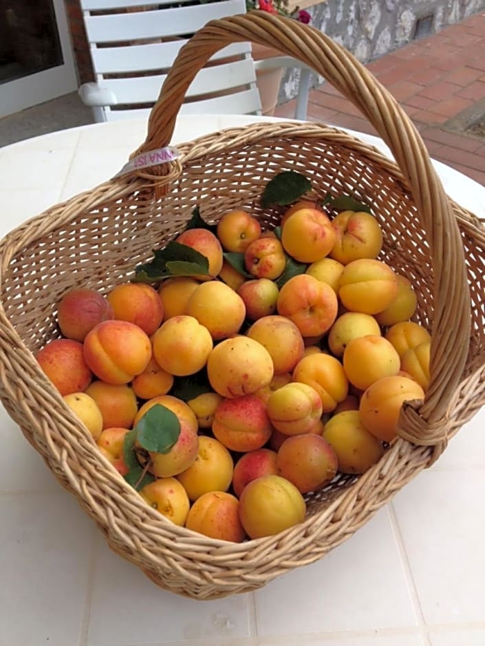 Podere Il Mulino