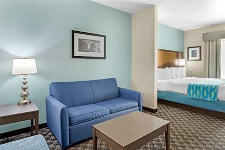 SUITE-1 KING BED,NSMK,PILLOWTP,HISPD,MICRWV,REFRIG,SOFBD,FULL BREAKFAST