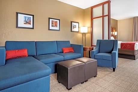 1 King Bed, Suite, Nonsmoking