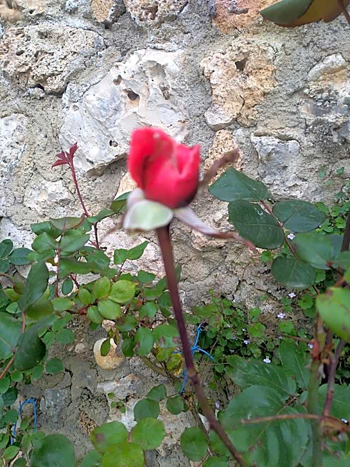 Palazzo Moraschi Subiaco