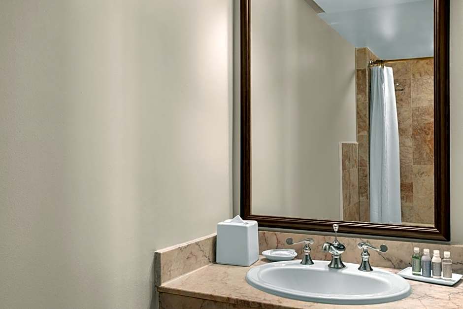 Dauphine Orleans Hotel