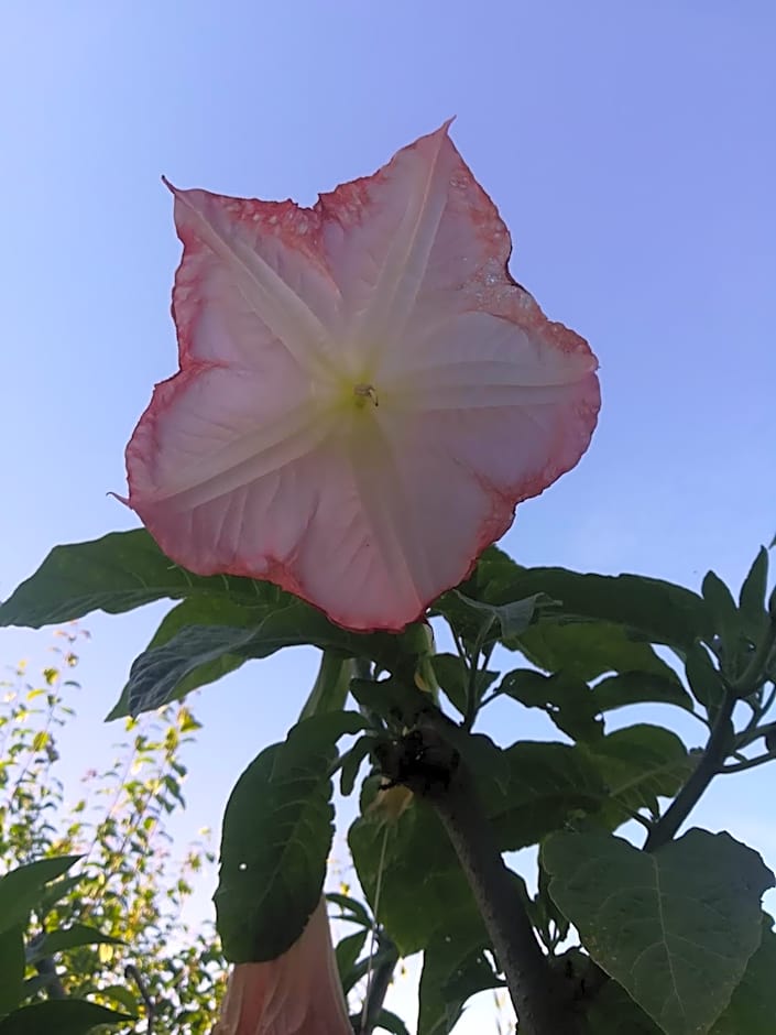 Residence Marina Di A Testa