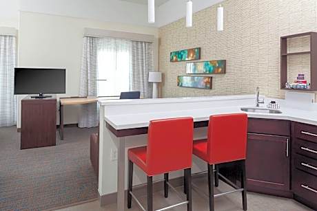 Studio, 1 King Bed with Sofa bed (1 King Bed and 1 Double Sofa Bed)