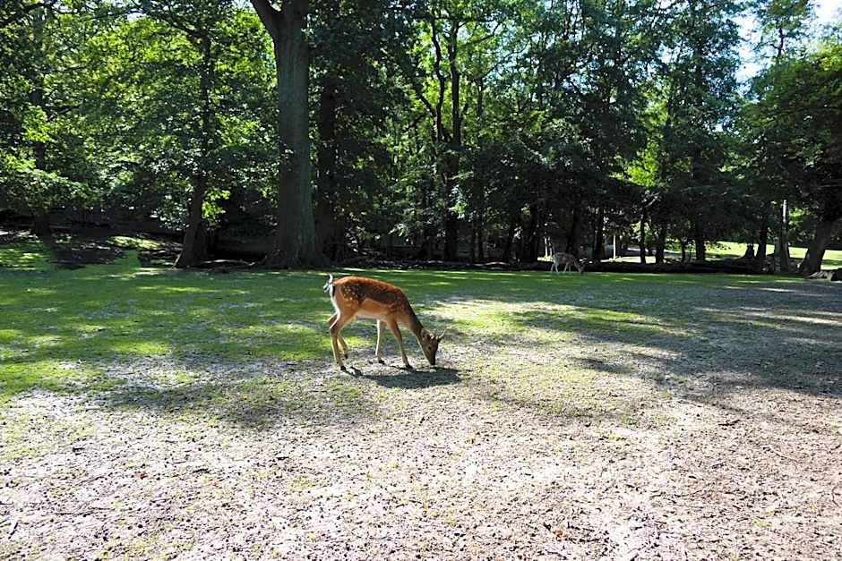 Helnan Marselis Hotel