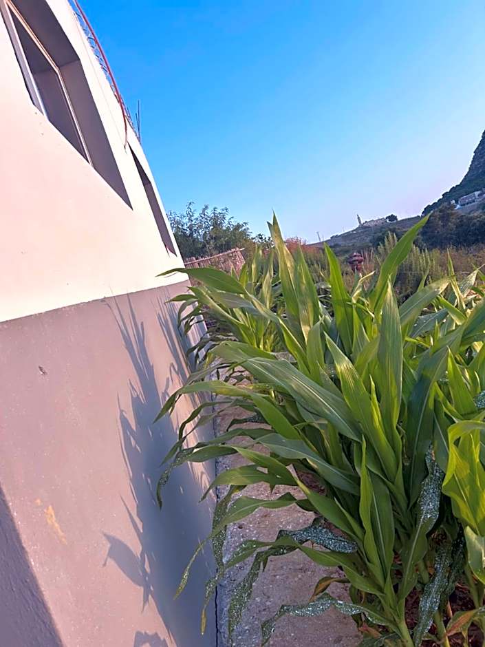 منزل قريب من الشاطئ