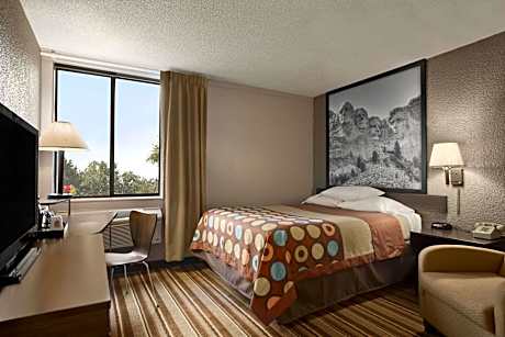 1 Queen Bed Mobility Accessible Room Non-Smoking