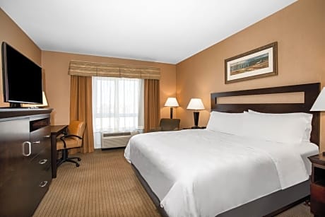 One-Bedroom King Suite