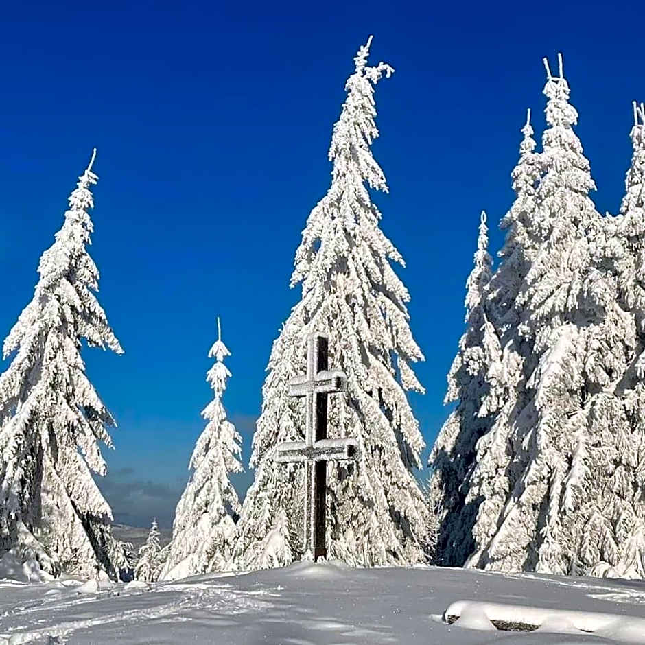 Horský Hotel Podjavorník