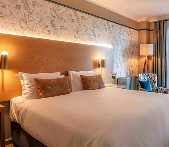 Photo 1 of 3 of Superior 1 King Bed