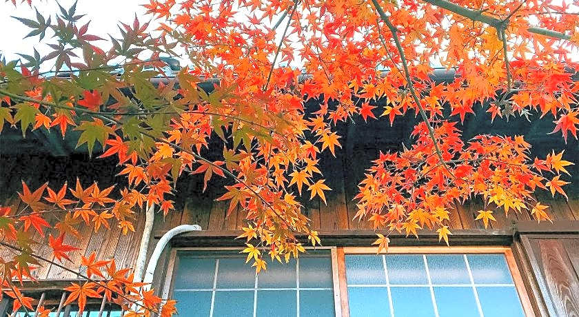 Guesthouse Kioto