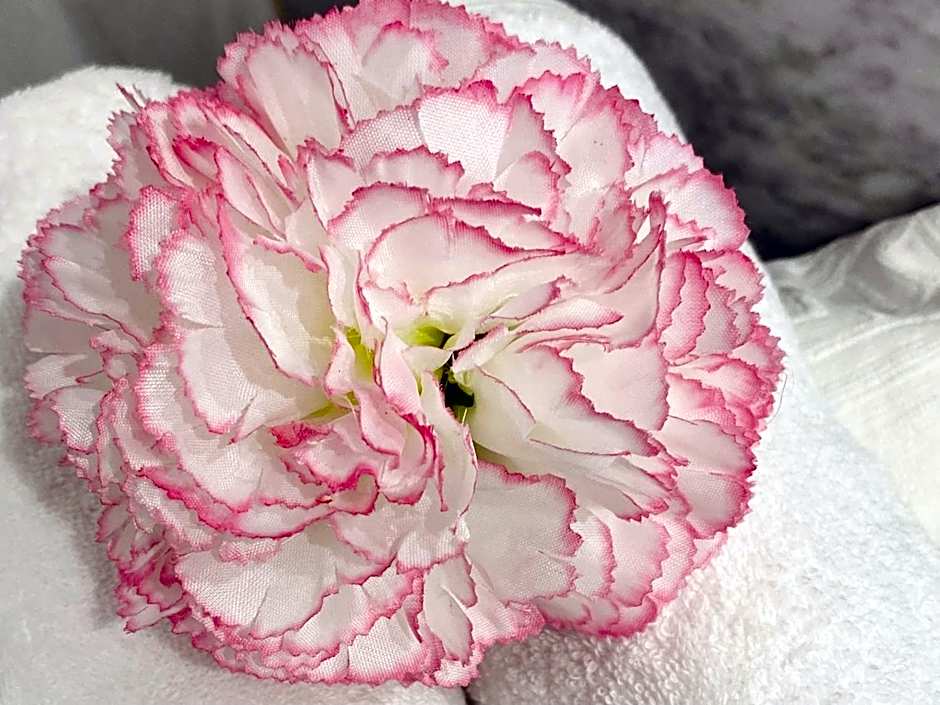 Résidence de la baie - BLEU SOLEIL TARTANE