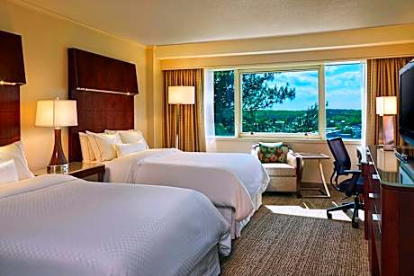 Deluxe Room, 2 Double Beds