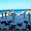 Boyalik Beach Hotel & Spa Cesme