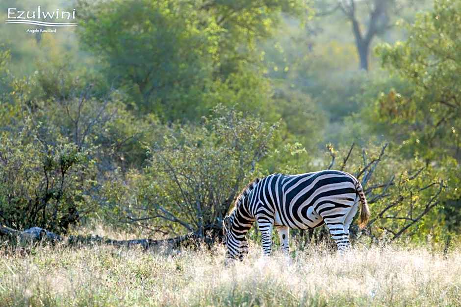 Ezulwini Game Lodges