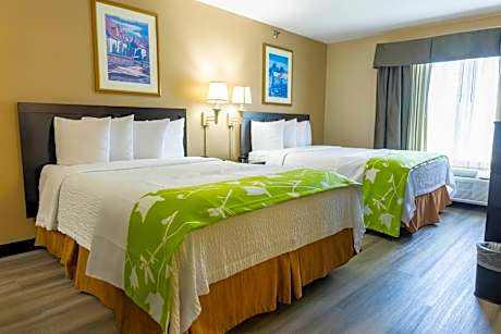 2 Queen Beds, Non-Smoking