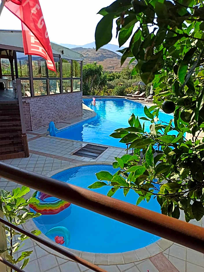 Orfeas Studios Molivos