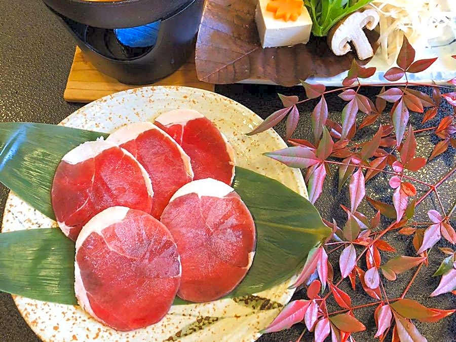 Shiobara Onsen Tokiwa Hotel