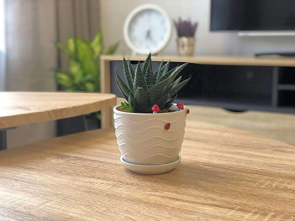 Homie6@ The Heights Residence/ 6-7 Pax