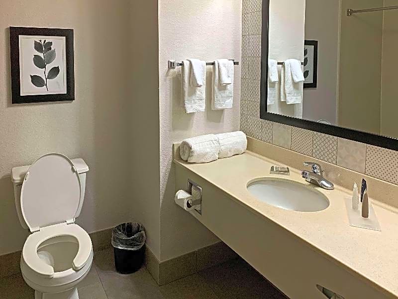 Comfort Inn & Suites Ruston-East