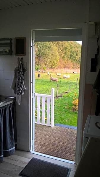 Boerderijkamer Korenbloem