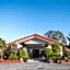 Franz Josef TOP 10 Holiday Park