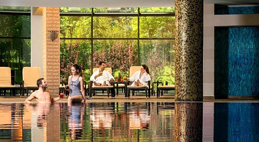 NG Sapanca Wellness & Convention