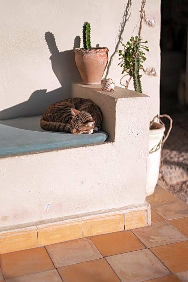 Dar Afoulky Maison D'hotes