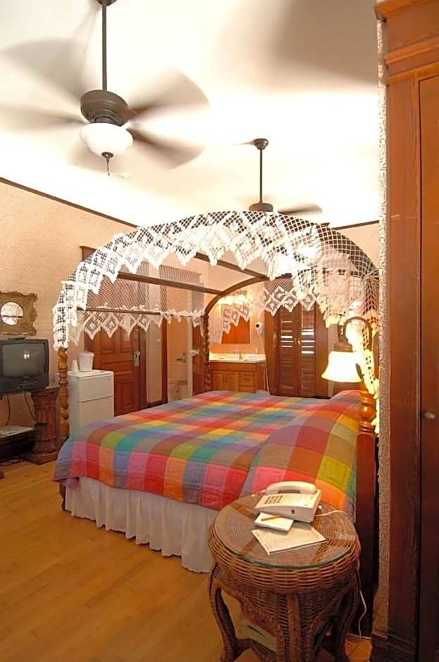Amsterdam s Curry Mansion Inn