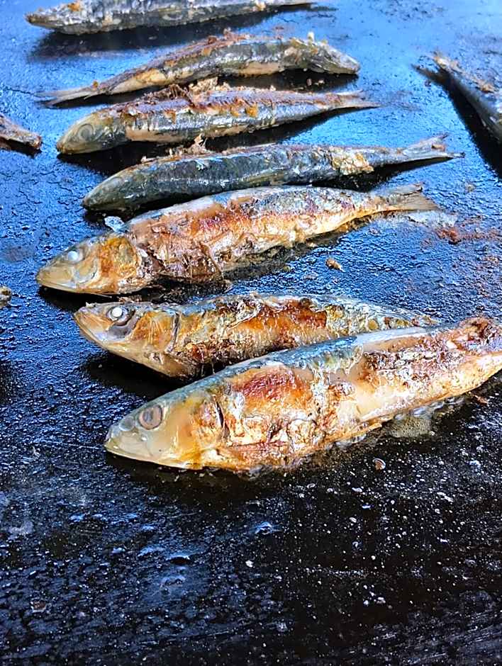 Chambres entre Romorantin-Chambord-Zoo de Beauval - Orée du Bois en Sologne